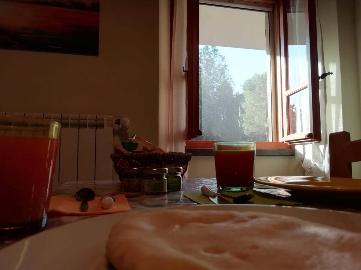 Su Pitiolu - Casa Vacanze Làconi Eksteriør bilde